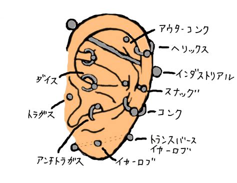 クリトリスフッド|【楽天市場】ラプラス ボディピアスとは？